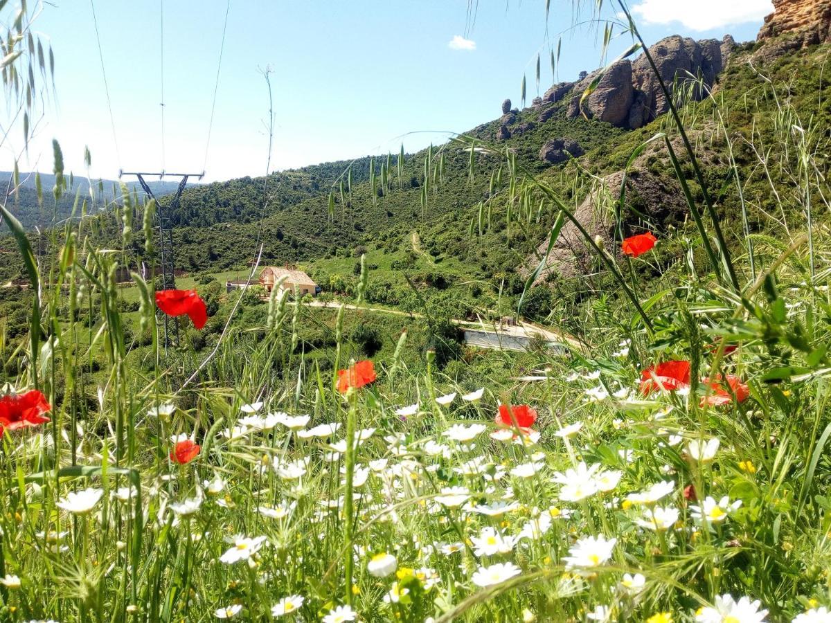 Villa Garibaldi Agüero المظهر الخارجي الصورة